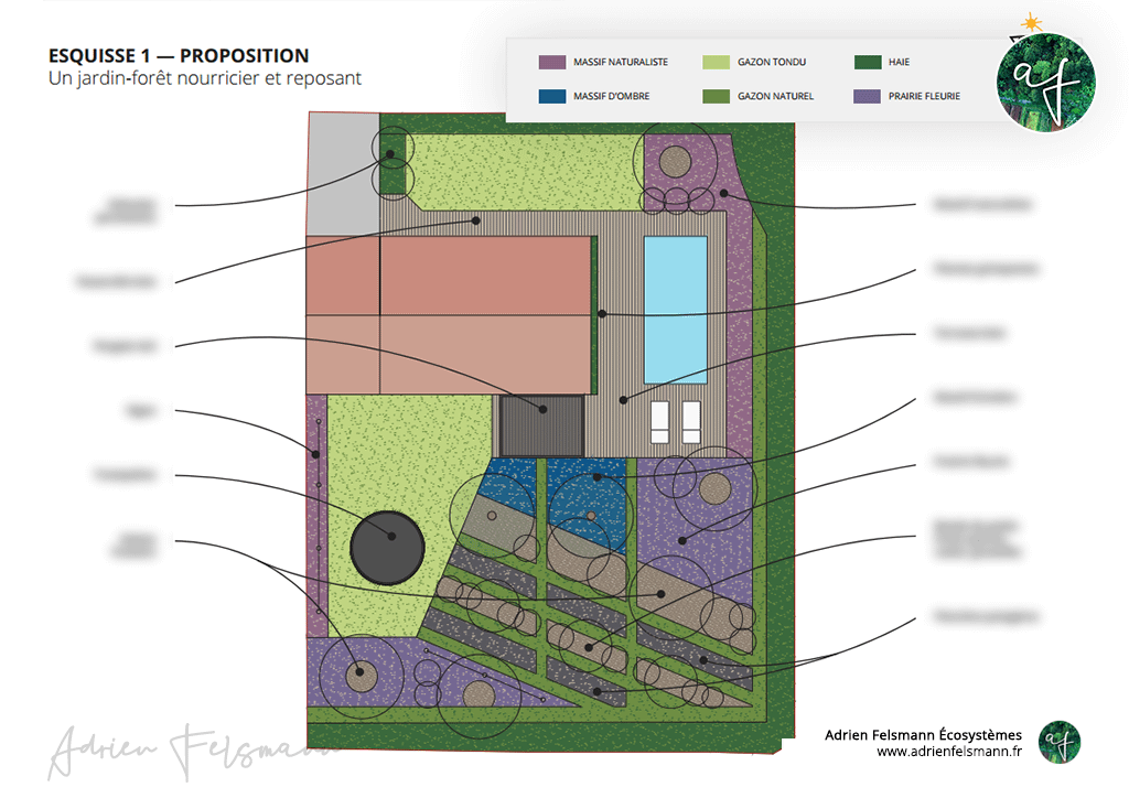Plan de conception d'un jardin inspiré de l'agroforesterie