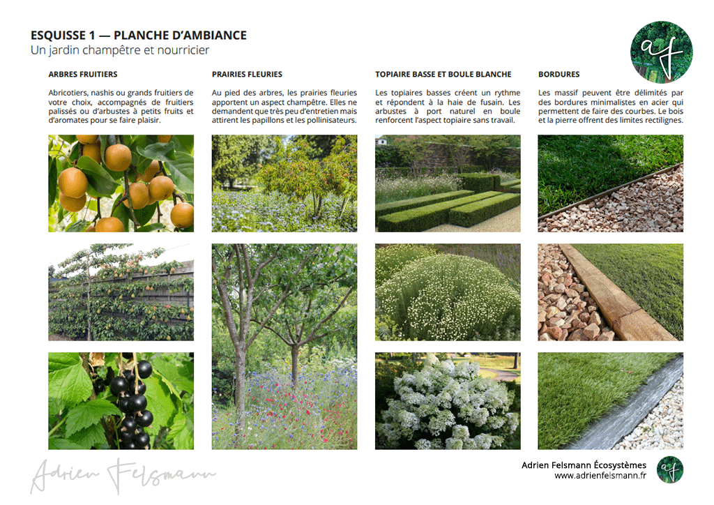 Planche d'ambiance de jardin champêtre nourricier