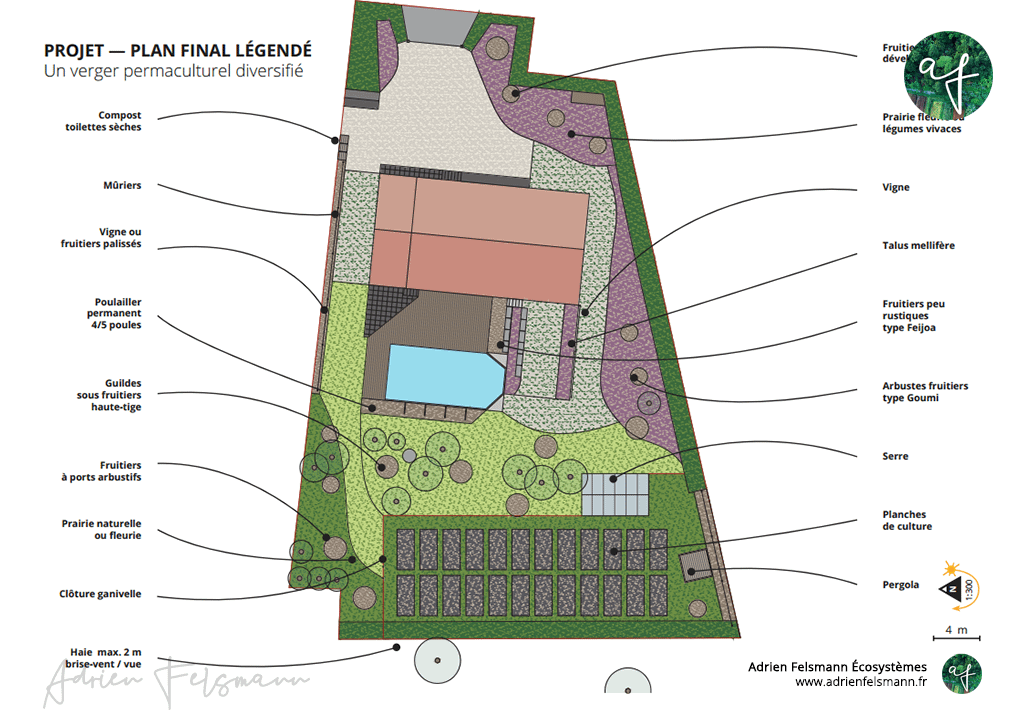 Verger permaculturel et guildes nourricières à Saint-Sulpice-la-Pointe (81)