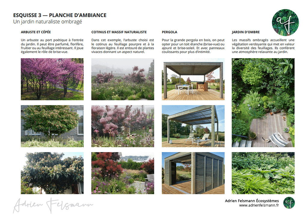 Planche d'ambiance de jardin naturaliste d'ombre