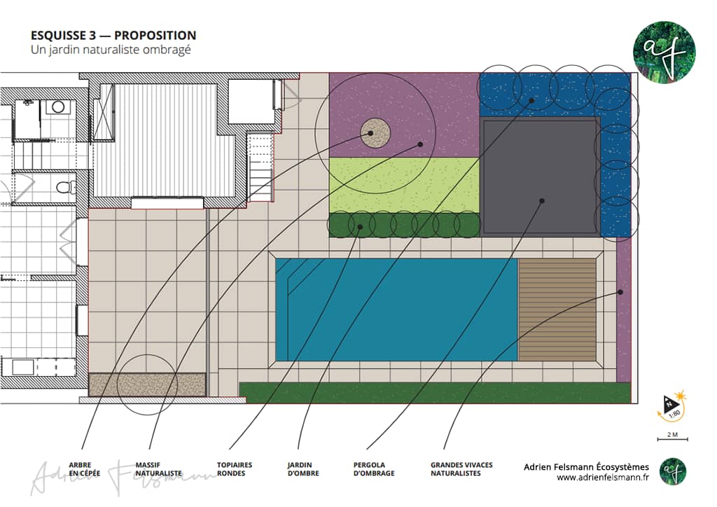 Esquisse conception de jardin naturaliste ombragé