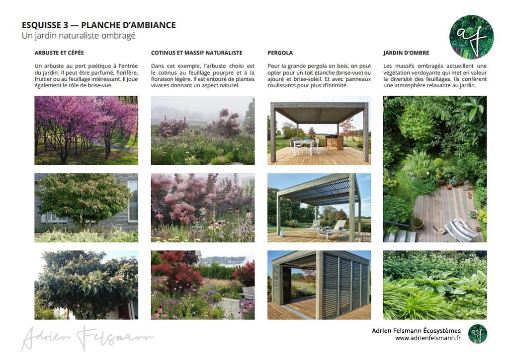 Planche d'ambiance de jardin naturaliste d'ombre