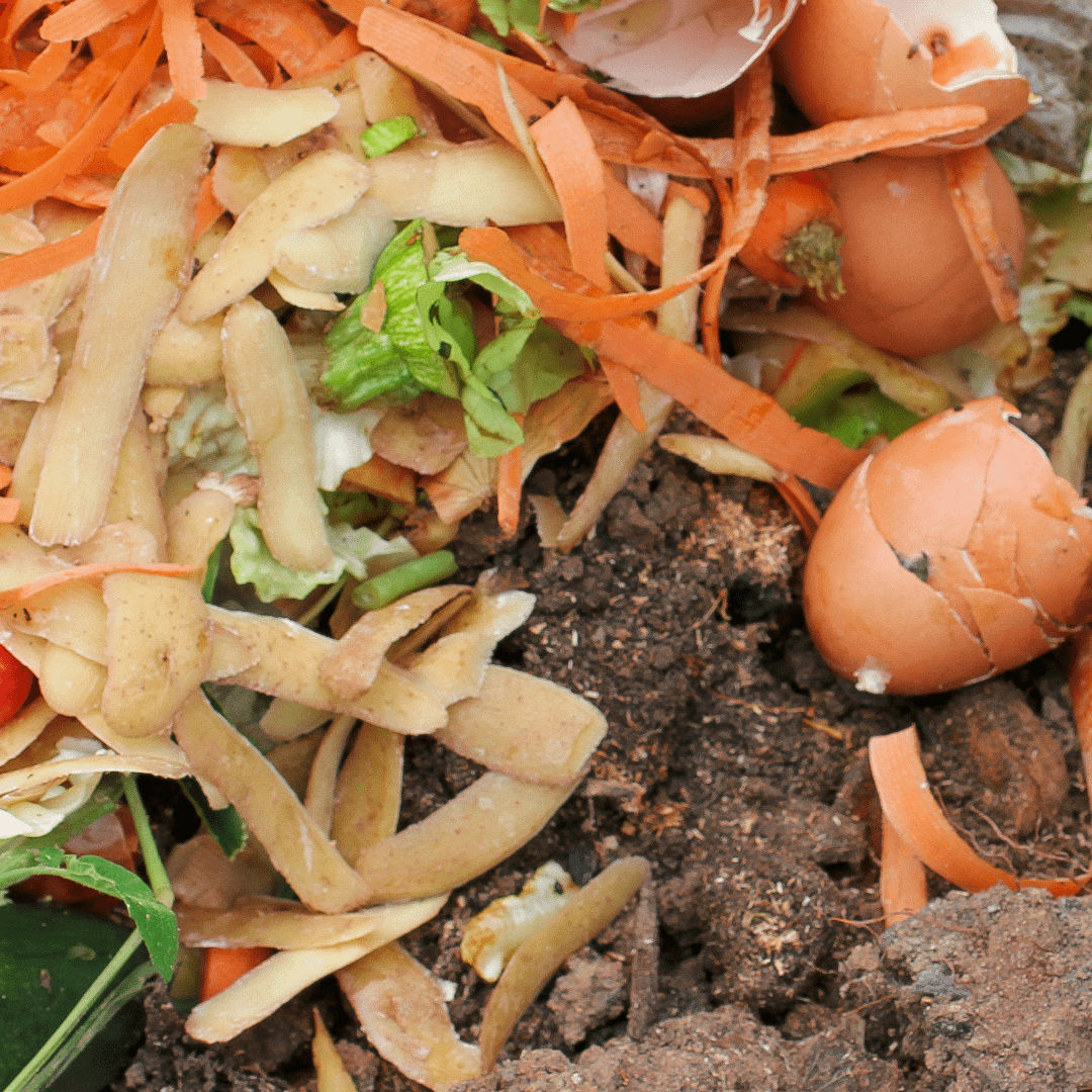 Épluchures sur le sol du jardin