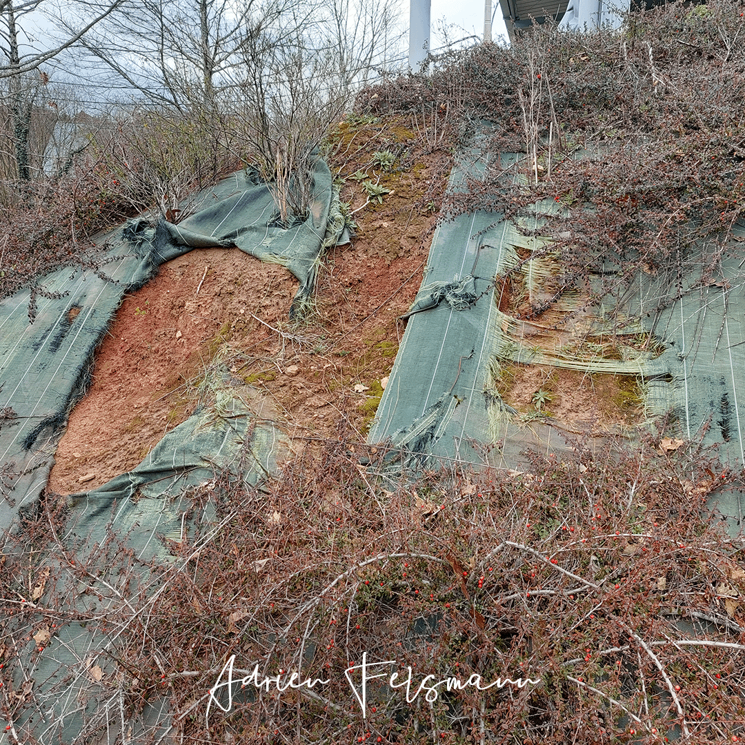 Bâche plastique déchirée sur talus représentant une pollution