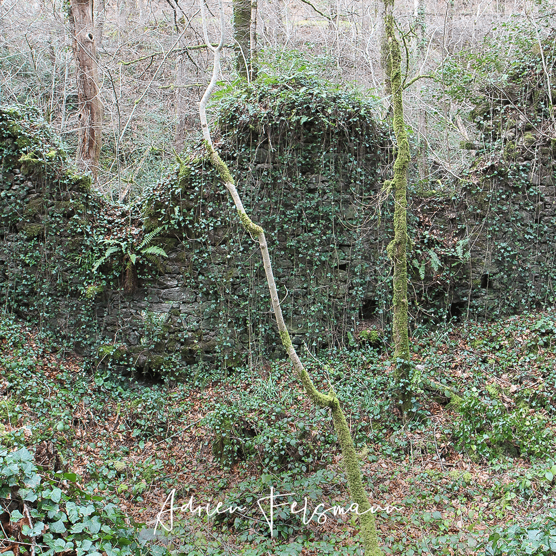 Vestige d'un martinet au bord du Lézert en Aveyron