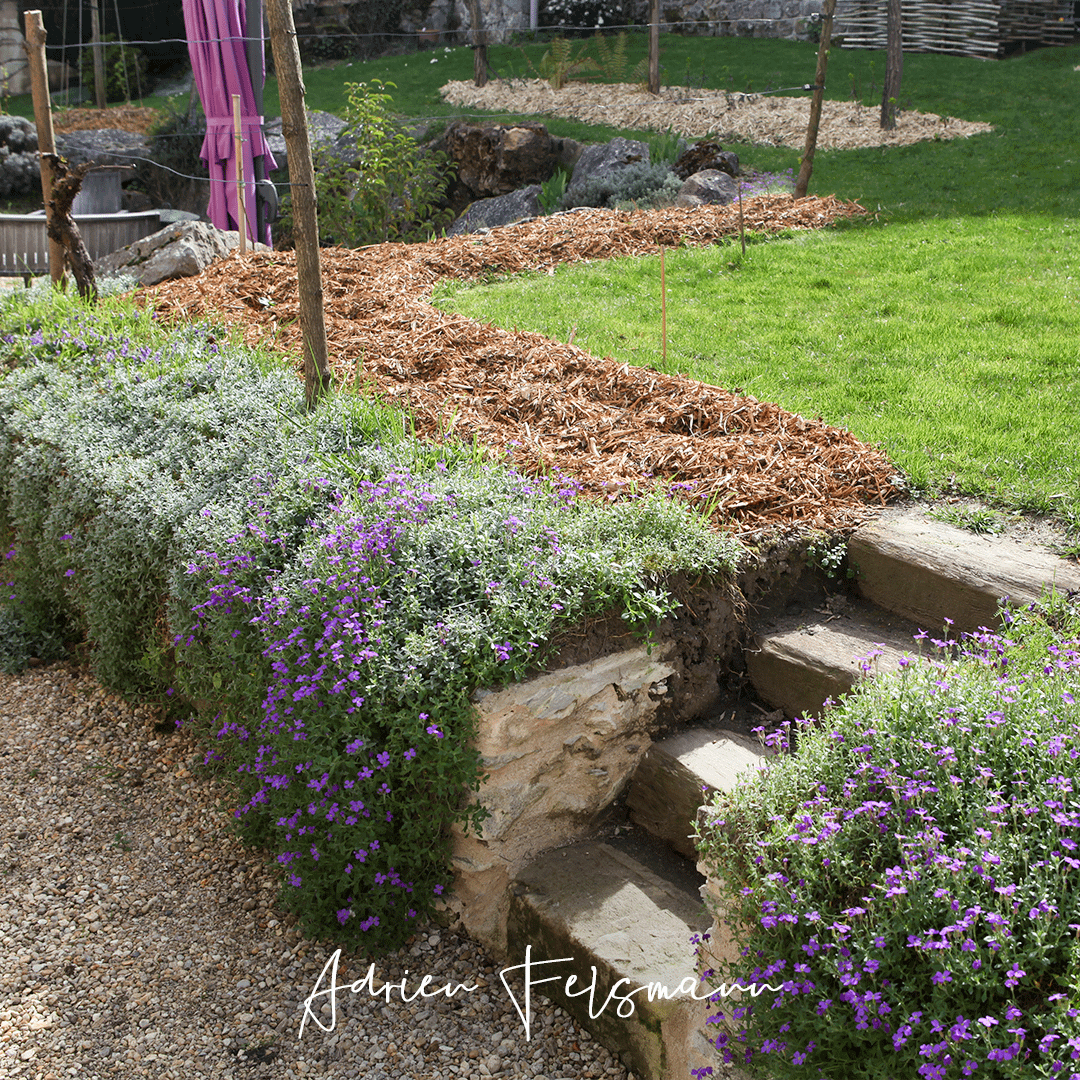 Création d'un cheminement via l'ouverture du muret