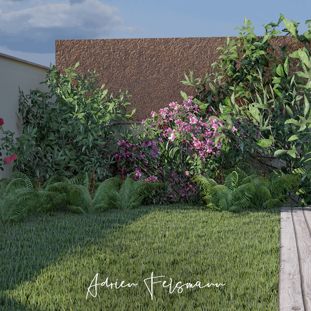 Massif d'ombre adapté au sol et à l'exposition