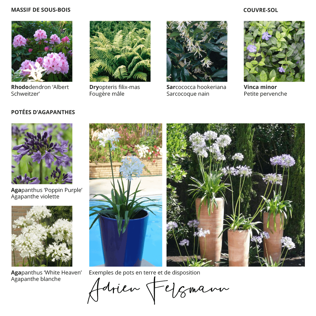 Planche d'ambiance, travail sur l'esthétique générale