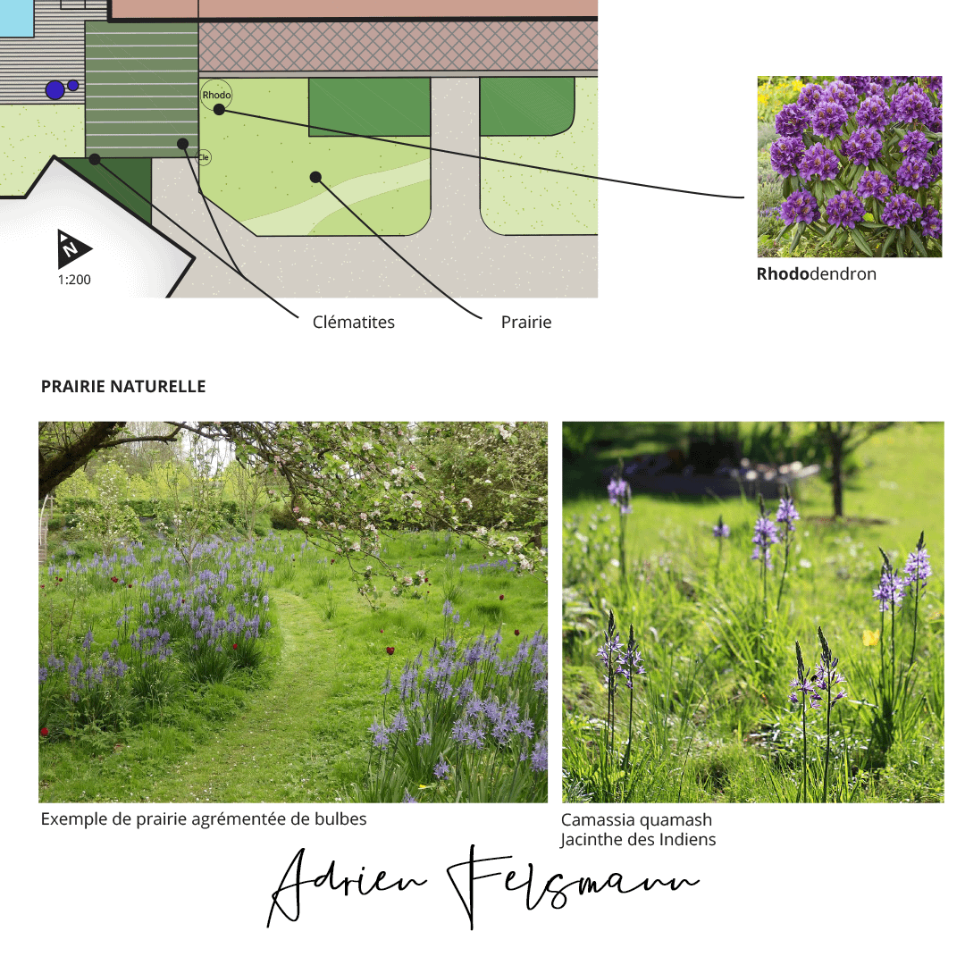 Un jardin qui s'inspire de la nature