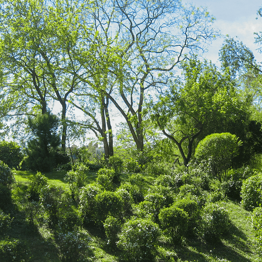 Les ombres en traits d'union