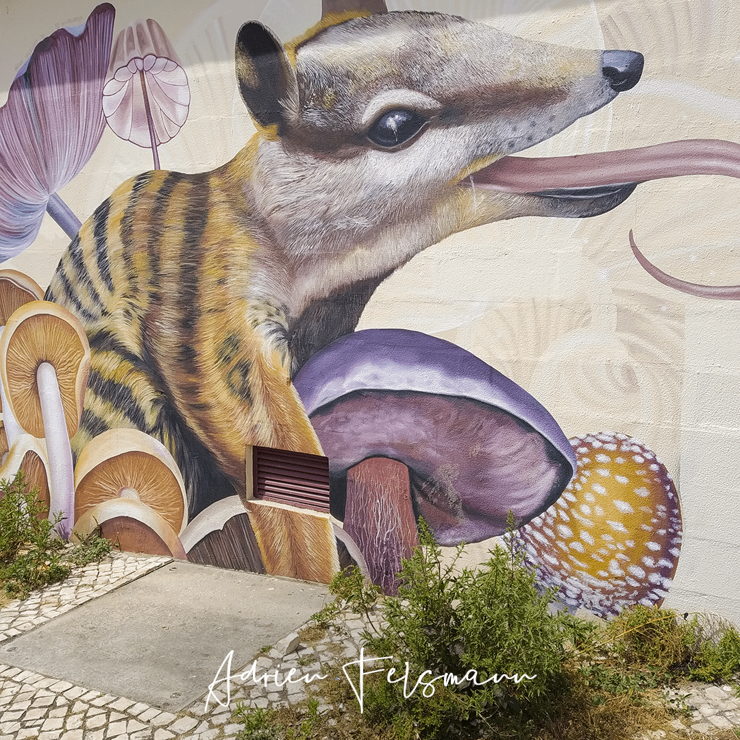 Mauvaises herbes devant une fresque en ville