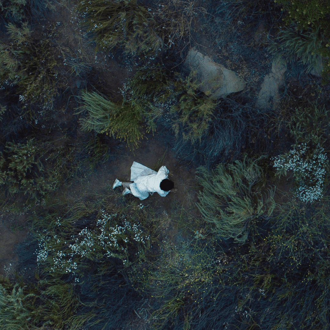 Photo de drone de la garrigue