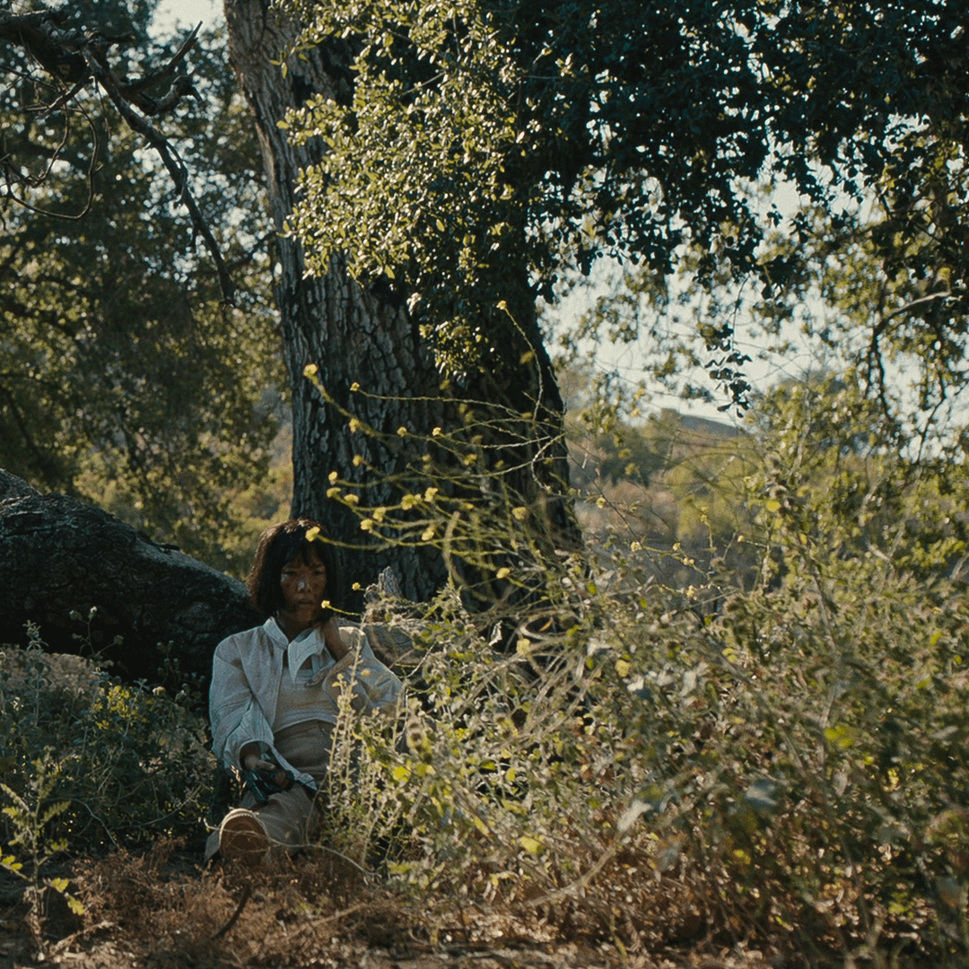 Plantes sauvages très photogéniques dans la série Netflix Acharnés (Beef)