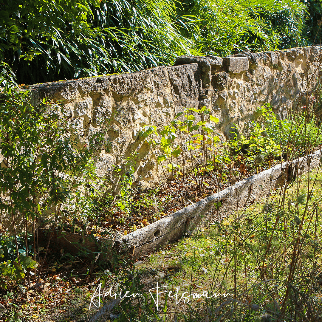Micro-pépinière de bouturage et semis