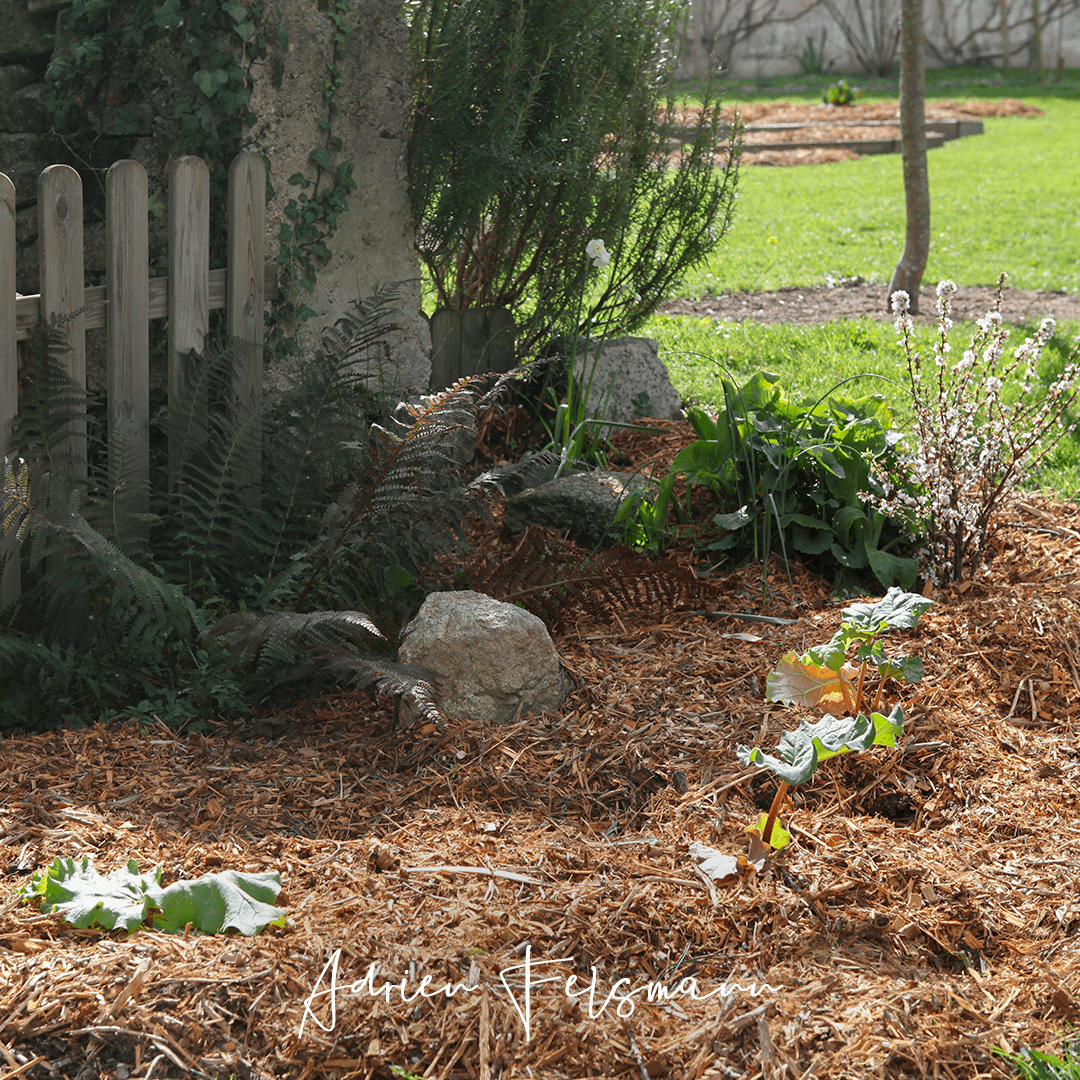 Broyat de bois au jardin naturel