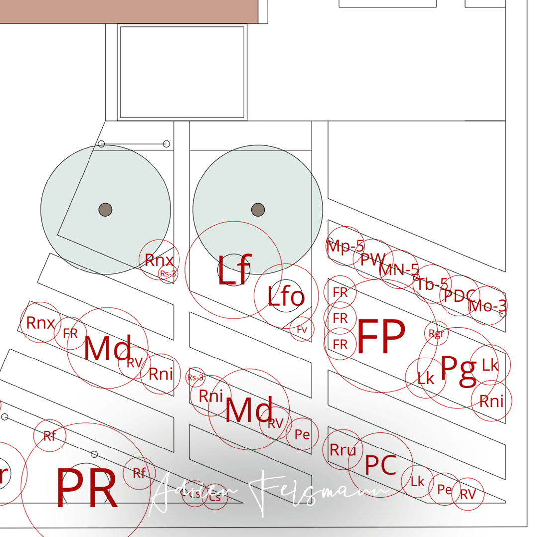Plan de plantation d'un jardin de particulier conçu selon les principes de l'agroforesterie