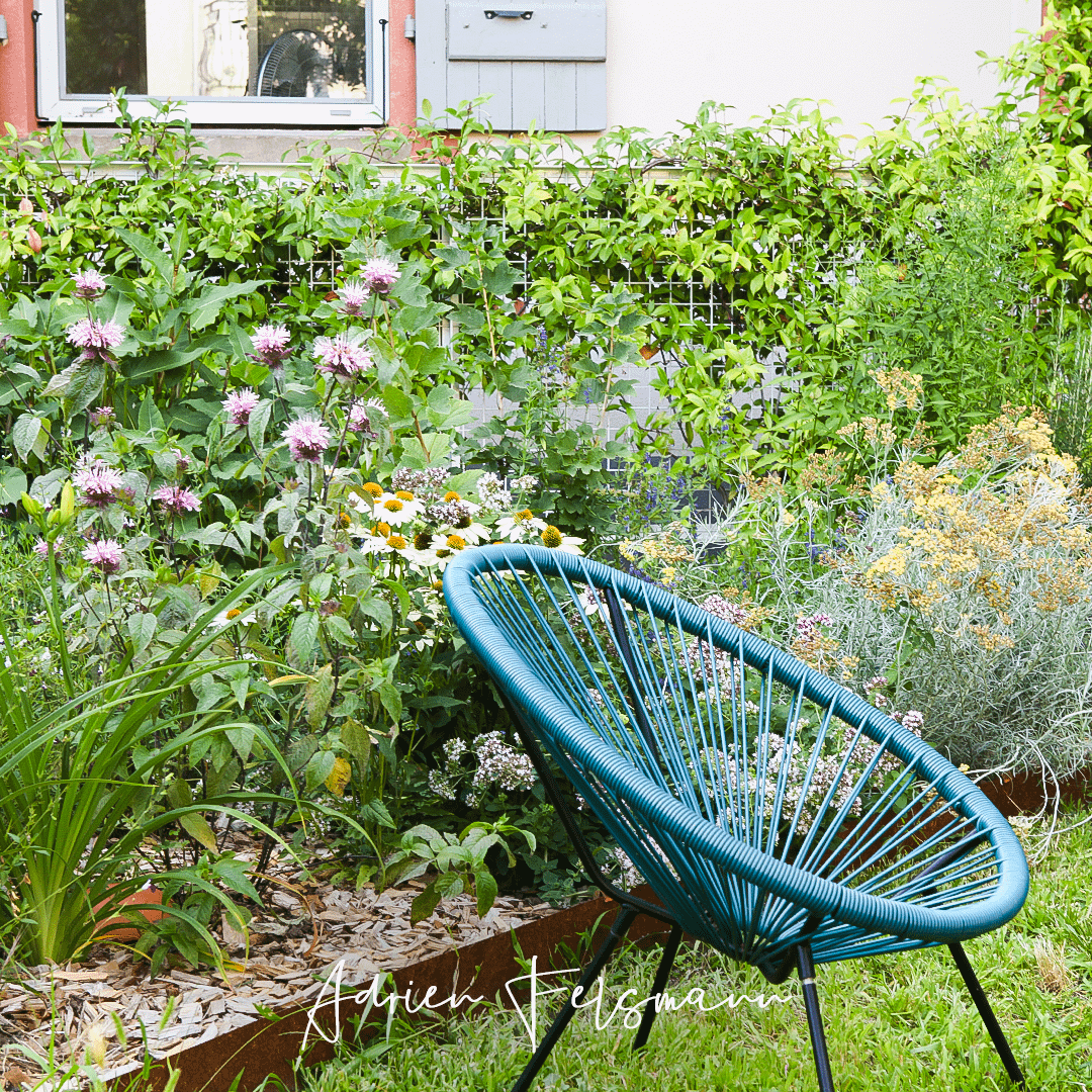 Faire un beau jardin avec un petit budget