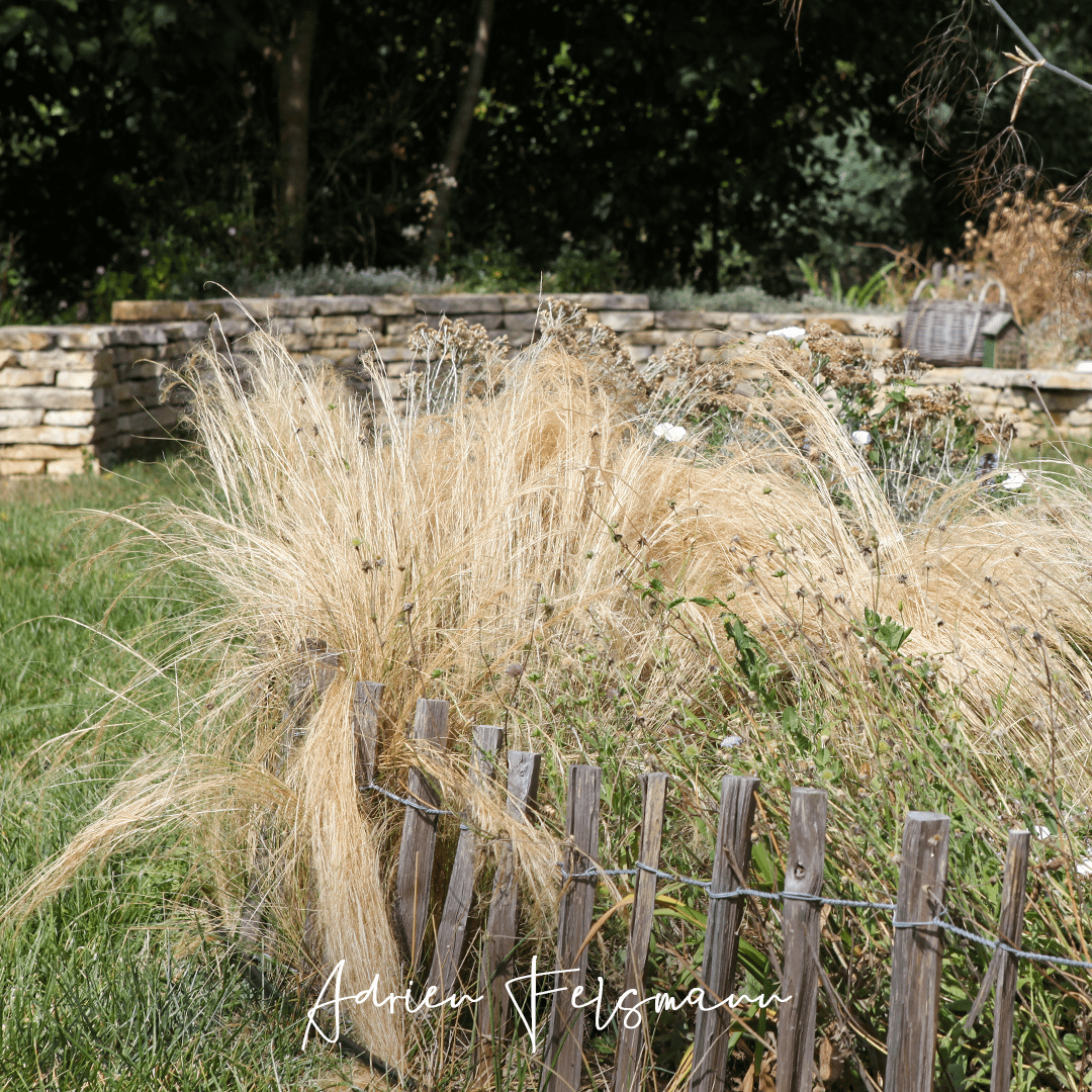 Créer un jardin moins cher qui respecte son budget