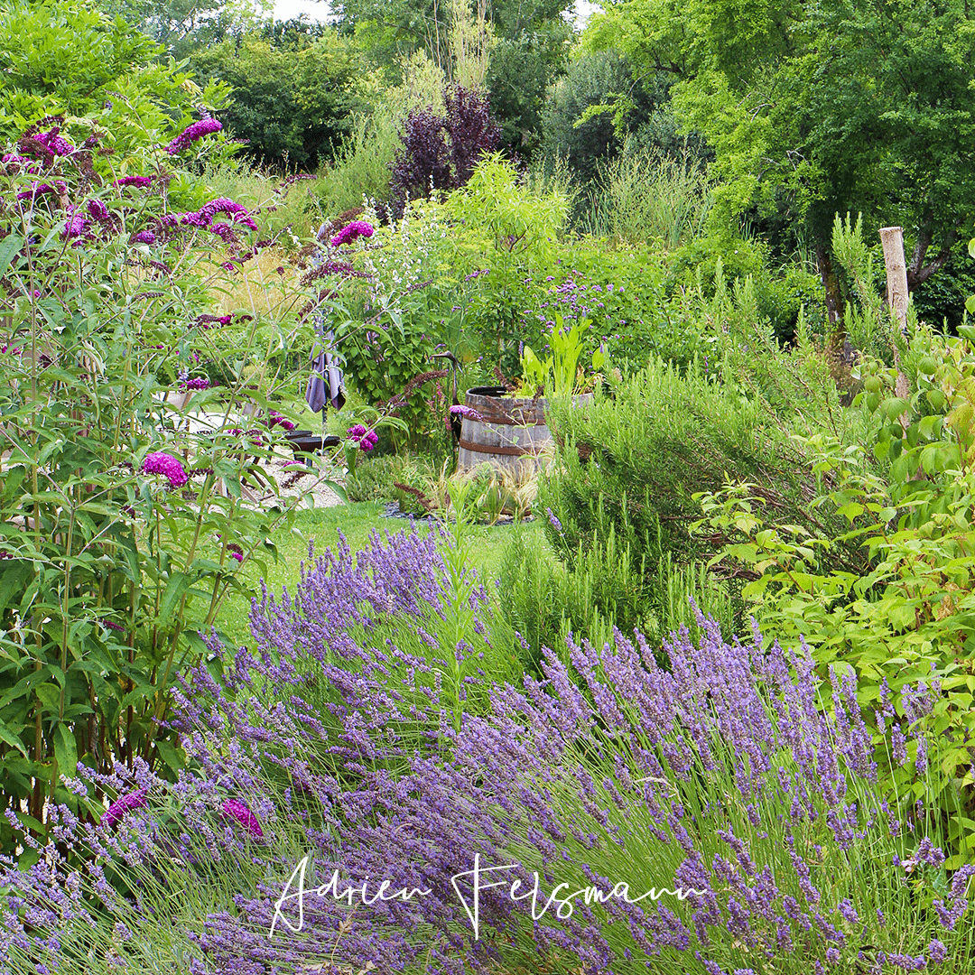 Créer un jardin durable sans frais cachés