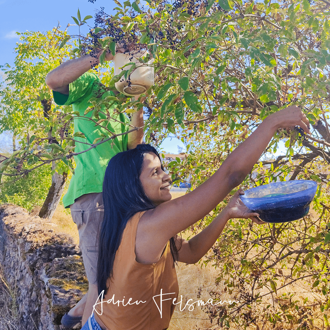 Bonnes raisons de jardiner, se faire plaisir