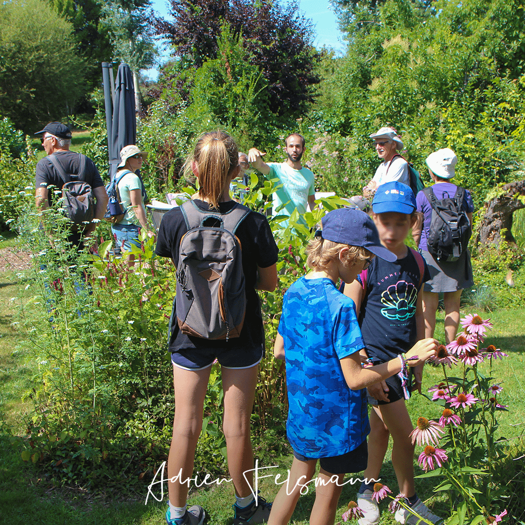 Bonnes raisons de jardiner, transmettre des savoirs
