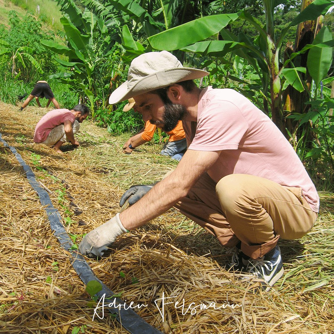 Jardiner ensemble pour apprendre et partager