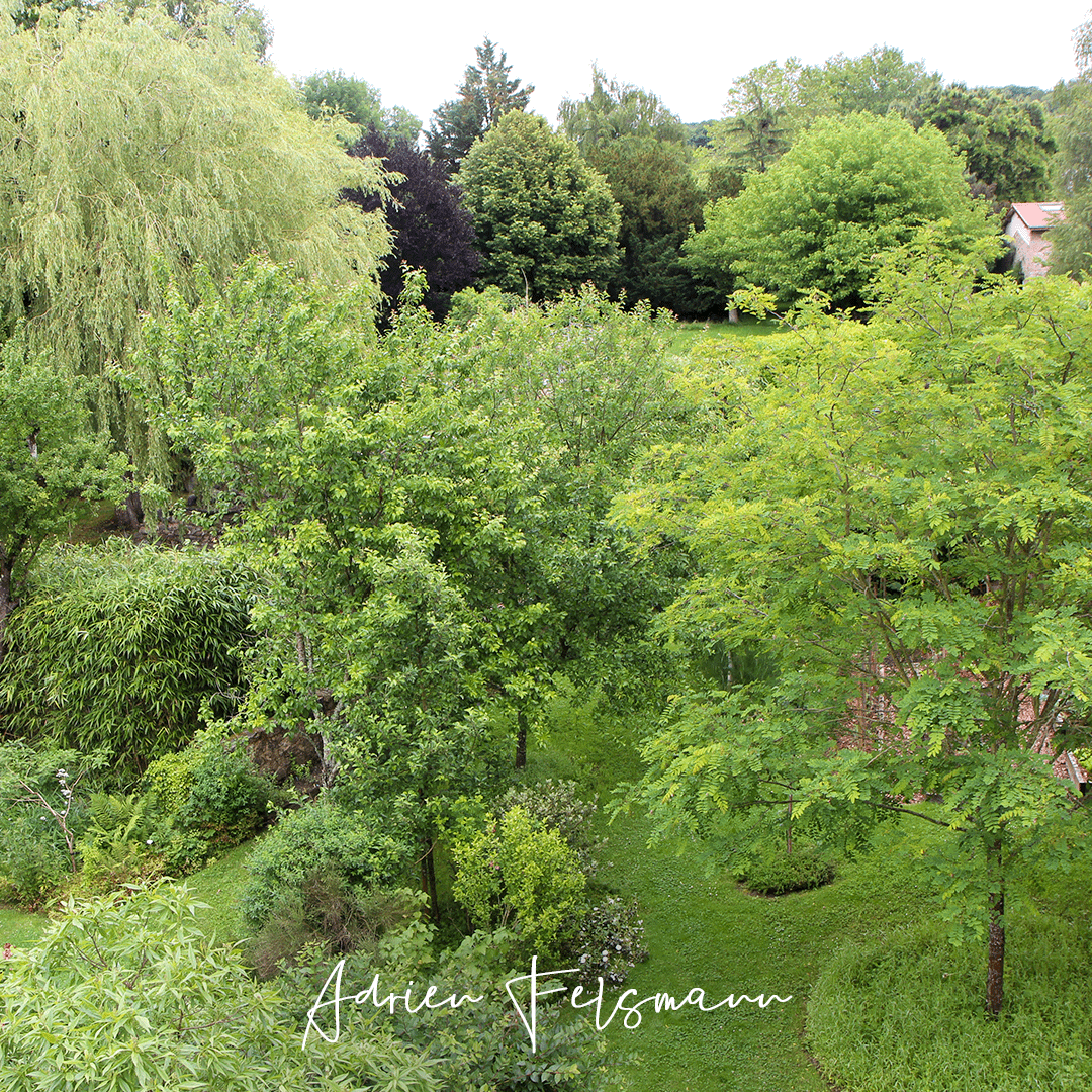 Se sentir utile en jardinant et en plantant des arbres