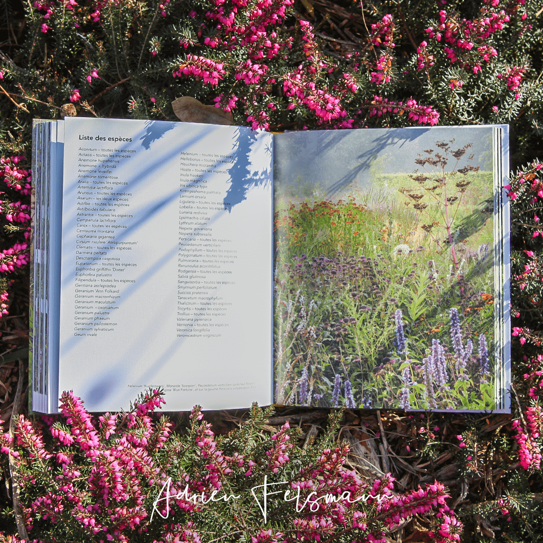 Liste de plantes pour jardin naturaliste