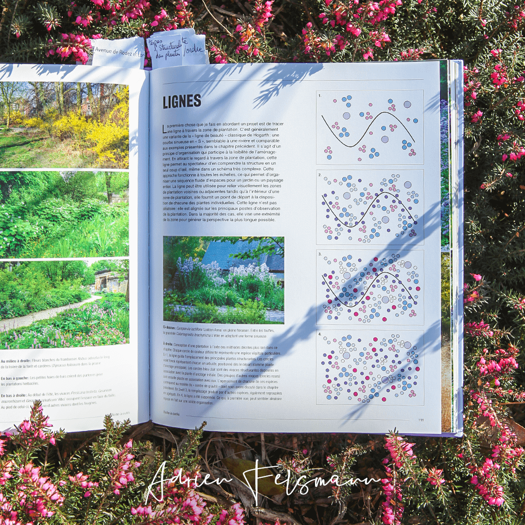 Plantations naturalistes de Nigel Dunnett