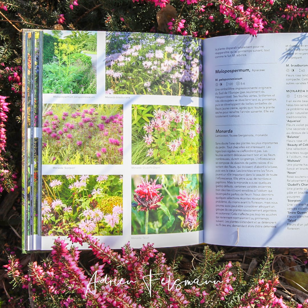 Jardins naturalistes de Piet Oudolf