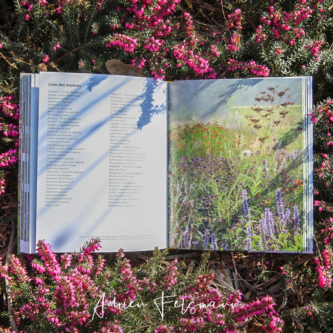 Liste de plantes pour jardin naturaliste