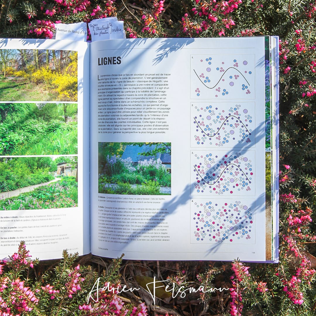 Plantations naturalistes de Nigel Dunnett
