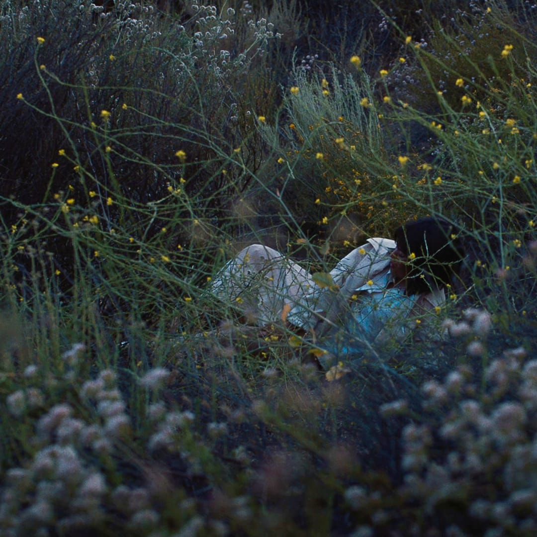 Photographie de jardin naturaliste