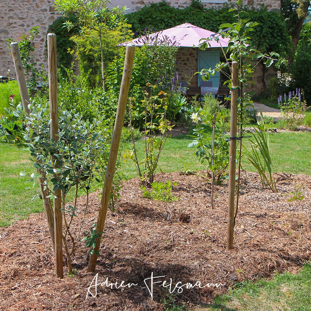 Paillage d'un jardin nourricier avec du broyat de bois