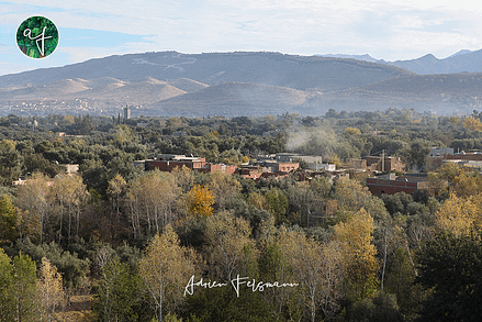 Couleurs hivernales de la forêt à Setti Fatma