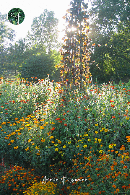Structure fleurie au jardin extraordinaire de Lieurac