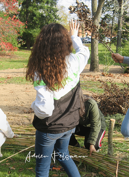 Team building jardin en entreprise