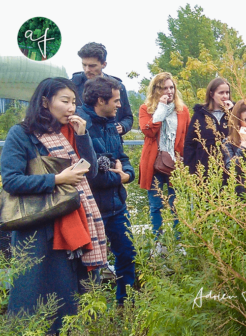 Team building jardinage en entreprise