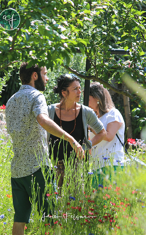 Coaching jardin naturel à Toulouse