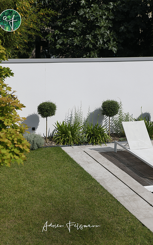 Topiaire et agapanthe dans un jardin minimaliste