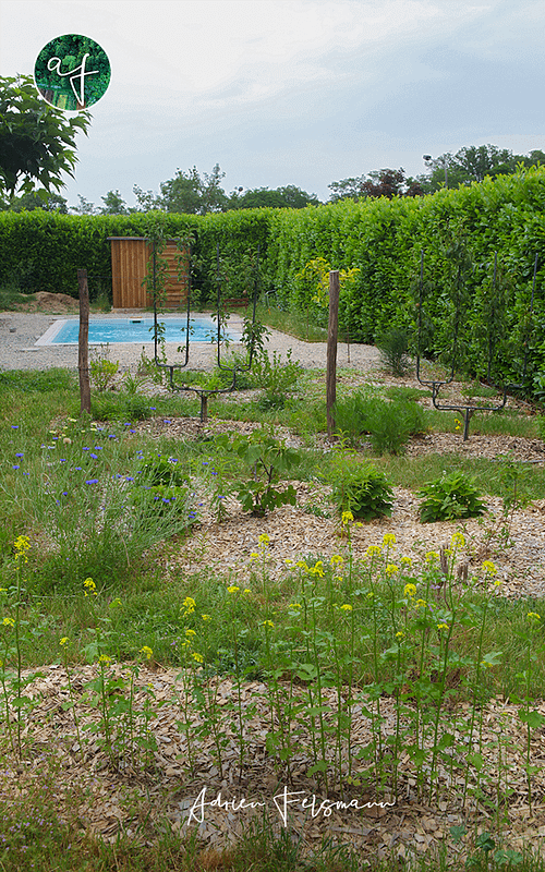 Jardin nourricier avec piscine et verger