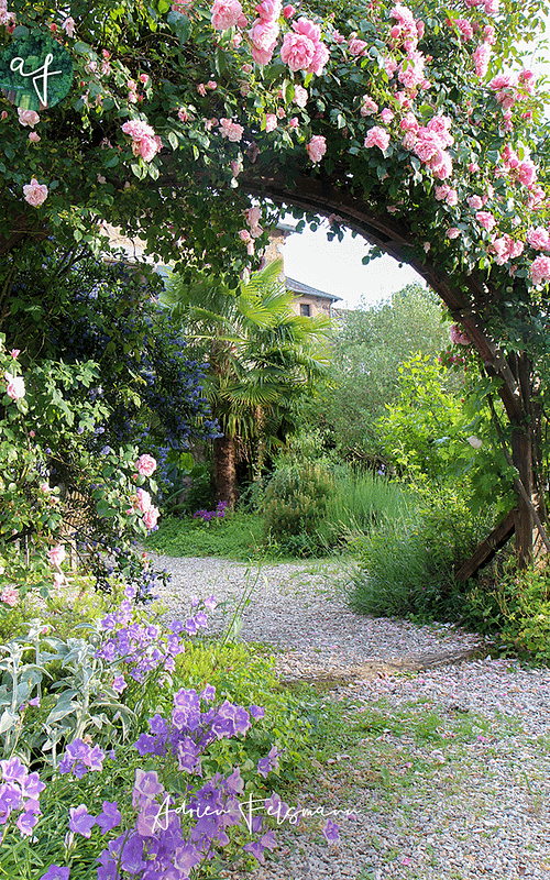 Cour intérieure d'un jardin méditerranéen dans le style jungle