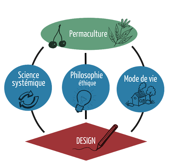 La permaculture c'est quoi ?