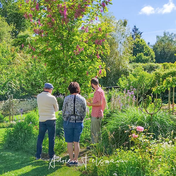 Visite guidée du jardin pendant les Rendez-vous aux jardins 2021