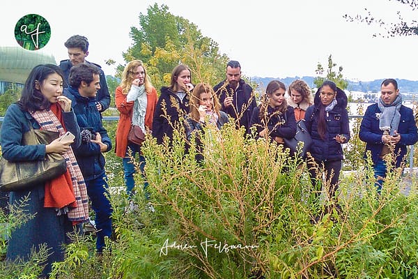 Team building jardinage en entreprise