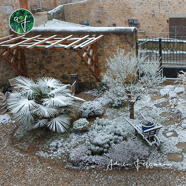 Jardin méditerranéen en hiver