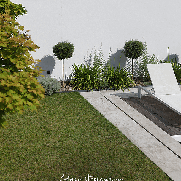 Topiaire et agapanthe dans un jardin minimaliste
