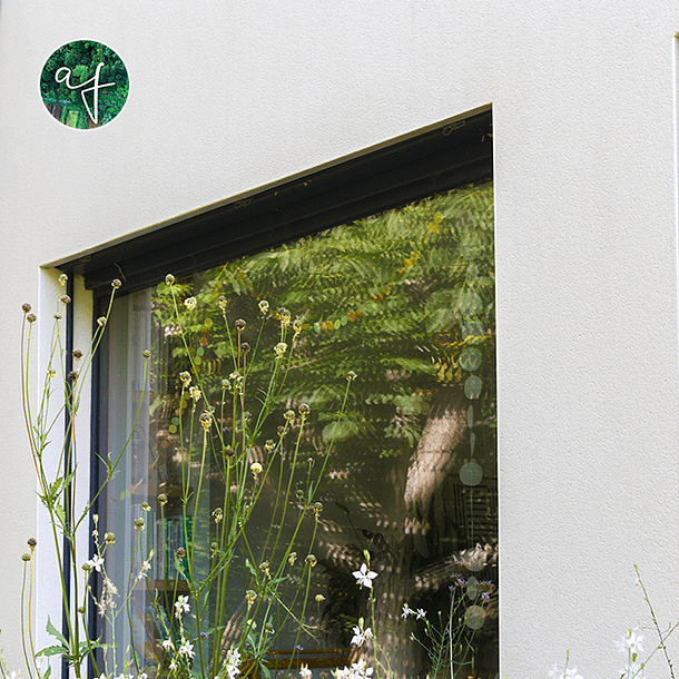 Fenêtre fleurie donnant sur le jardin