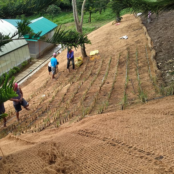 Toile de paillage en fibre de coco sur des berges