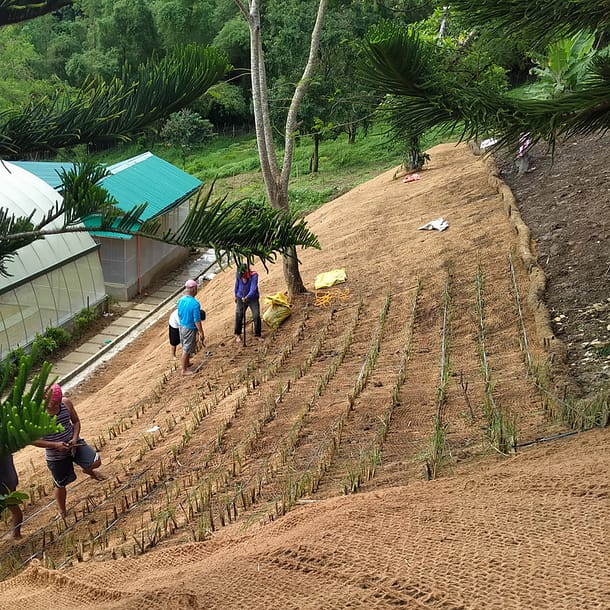 Toile de paillage en fibre de coco sur des berges